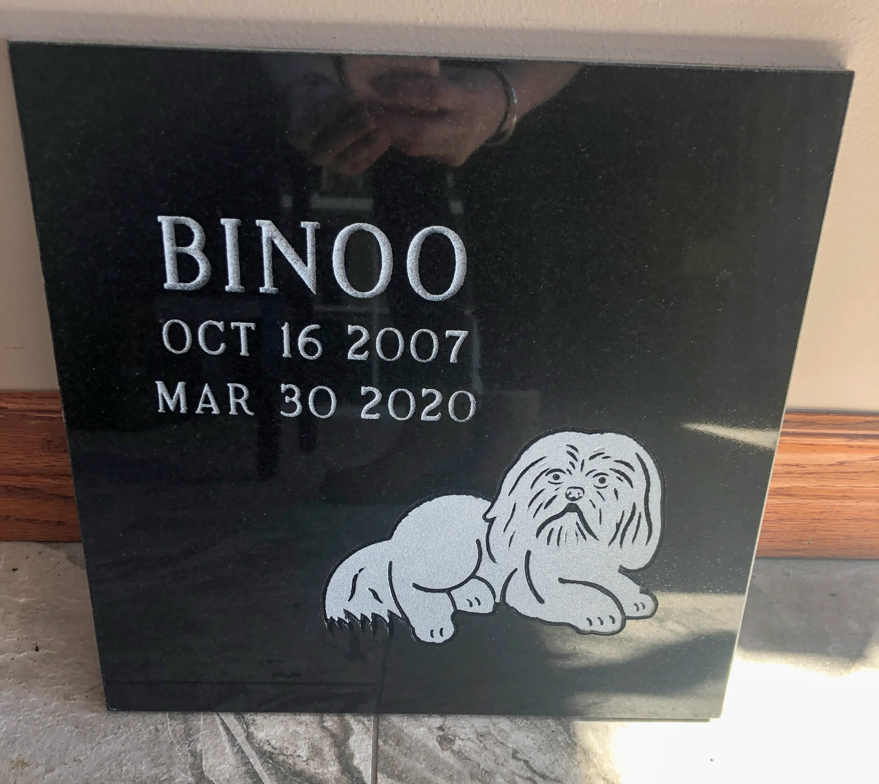 Pet Memorial Example - Binoo