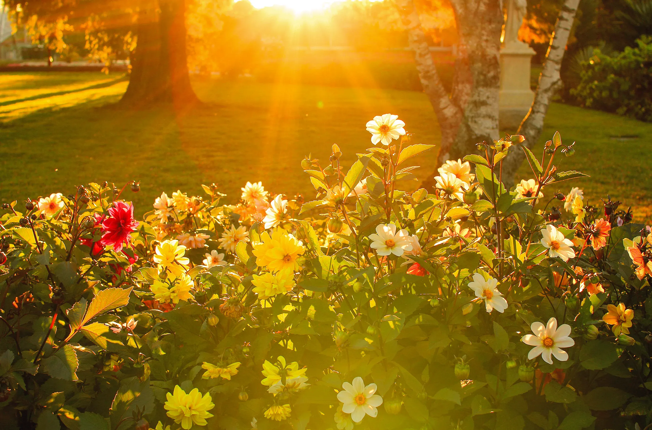 Memorial monuments and markers displayed in a serene outdoor setting
