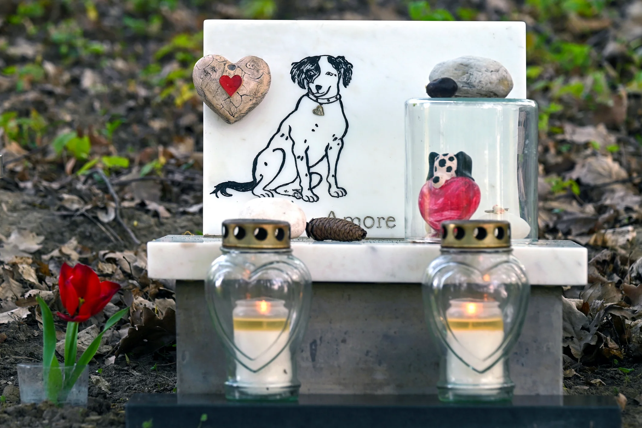 Pet Memorial Garden Setting