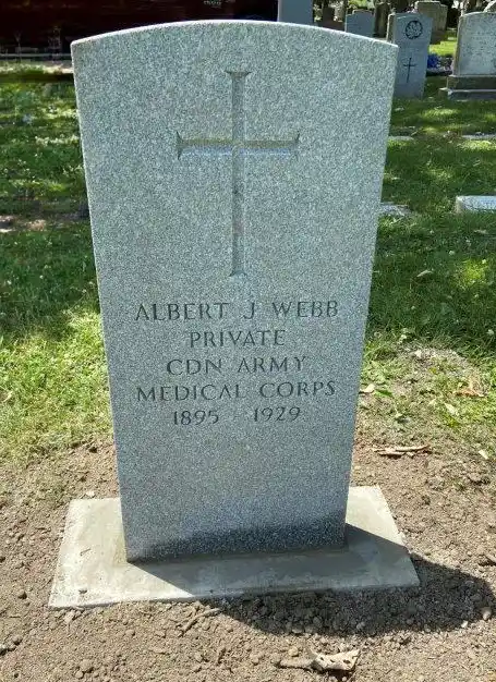 Veterans headstone cleaning